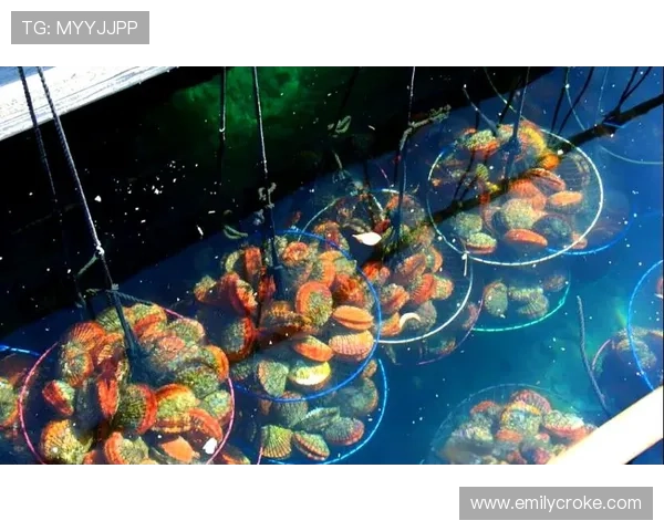 PA真人与PA捕鱼的安全性与公平性分析，保障玩家权益的全面指南