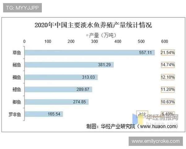 亚洲必赢是啥：亚洲必赢的法律法规现状及未来发展趋势分析